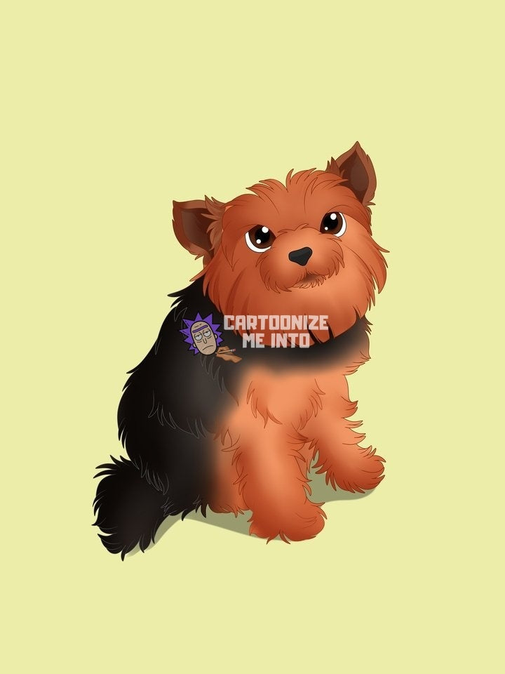 Custom Cartoon 'Pet Portrait' Cartoonize Me Into