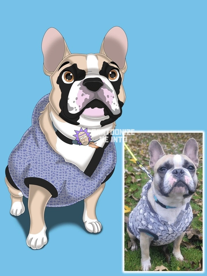 Custom Cartoon 'Pet Portrait' Cartoonize Me Into